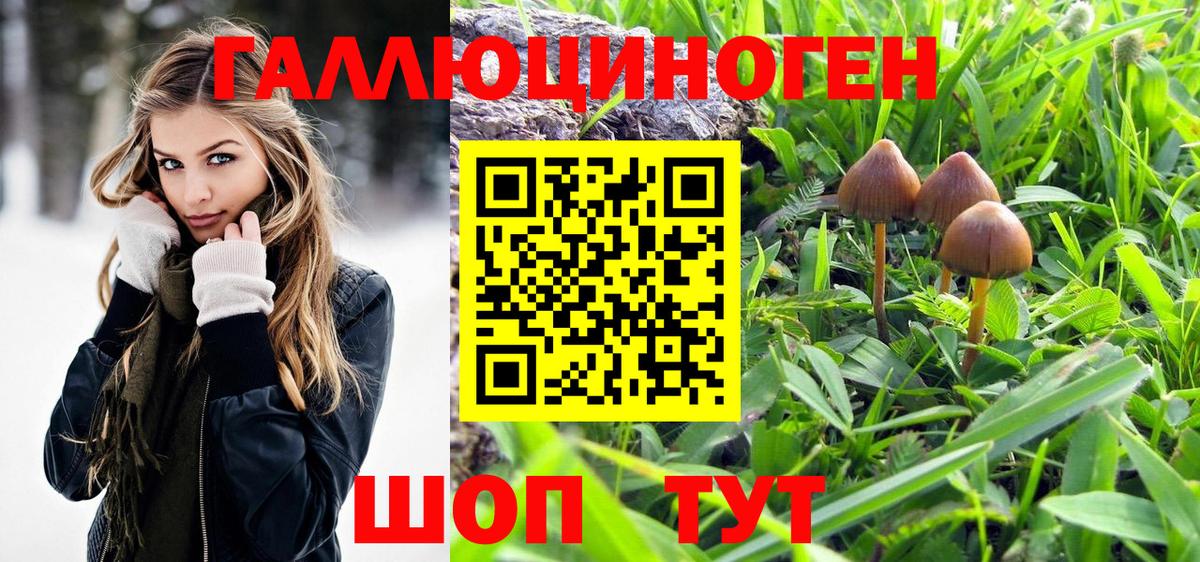 Галлюциногенные грибы GOLDEN TEACHER  Вход с VPN  Новодвинск 